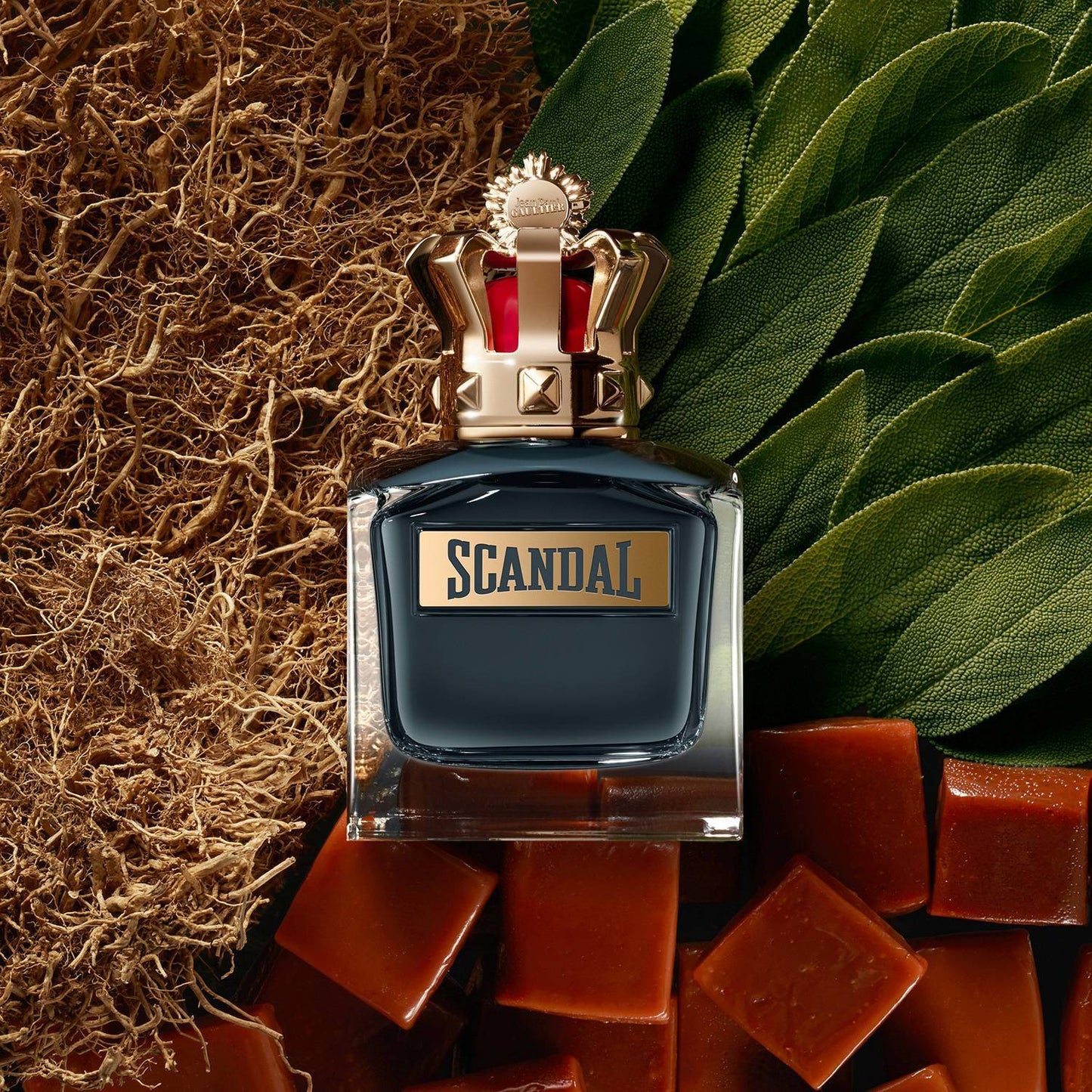 Scandal Pour Homme Jean Paul Gaultier EDT